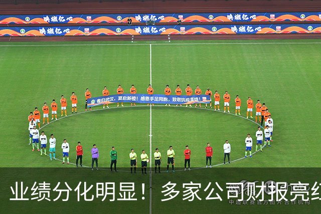 业绩分化明显！多家公司财报亮红灯，龙头企业陷入困境